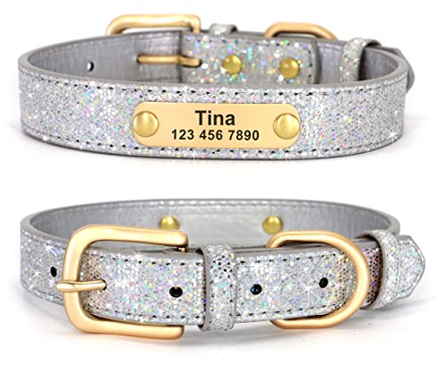 Didog Glitzer-Hundehalsband, personalisierbar, PU-Leder mit glitzernden Pailletten, personalisierbares Hundehalsband mit graviertem Namensschild für kleine, mittelgroße Hunde und Katzen, Silber, L