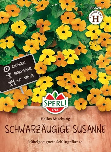 Sperli Schwarzäugige Susanne Samen Helios 86628 - Blumensamen für Zäune & Balkon, exotische Schlingpflanze mit gelb-orangen Blüten, Wuchshöhe bis zu 150 cm | Sichtschutz für Zaun und Balkon, sonniger Standort, dekorative Kletterpflanze, einjährig, ideal für Rankhilfen