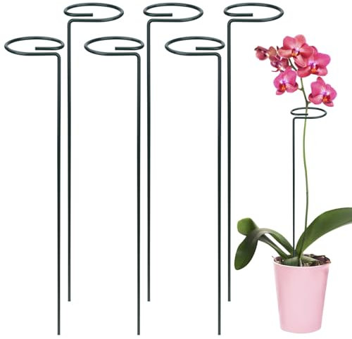 Tunejoy Supporto per Piante Acciaio Supporto per Stelo Singolo da Giardino Anello di Supporto per Fiori e Ortaggi 6 Pezzi