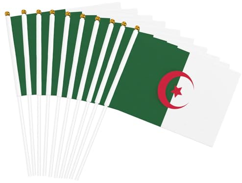 Petit drapeau de l'Algérie imprimé à main, drapeau double face agitant à la main 14 x 20,8 cm