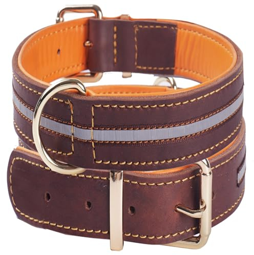 Collier pour Chien en Cuir, Véritable Robuste Réglable Rrembourré et Réfléchissant, pour Chiens de Taille Moyenne, Grande et Très Grande (L)