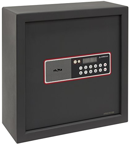 Arregui Caja Fuerte camuflada Cover.