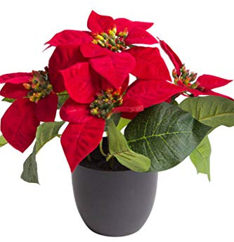 DPI künstliche Poinsettie/Weihnachtsstern im schwarzen Kunststofftopf (ca. 23 x 22 cm)