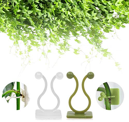 Wudong Lot de 120 clips muraux autocollants invisibles pour plantes grimpantes - Support pour plantes grimpantes - Décoration d'intérieur et d'extérieur