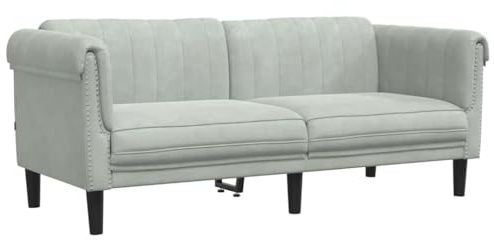 vidaXL Sofa, Polstersofa 2-Sitzer mit Stützbeinen, Zweisitzer Loungesofa Designsofa für Wohnzimmer, Couch Wohnzimmersofa, Hellgrau Samt