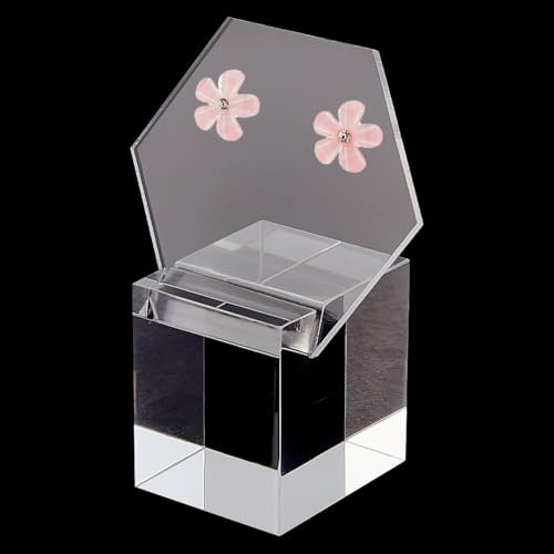 PH PandaHall Clear Schmuck Organizer Displays 2 Löcher Acryl Ohrring Display Ständer Ohrring Schaukasten Pegboard Rack für Ohrring-Schmuck Dangling Display Marketing, 4.1x6.6x9cm