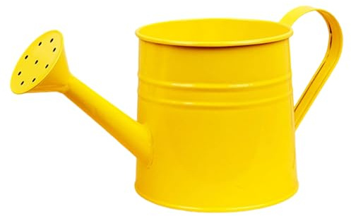 Annaffiatoio piccolo per piante da interno, 1 l, piccolo annaffiatoio in metallo per vasi di fiori, giardino, annaffiatoio per fiori e piante, annaffiatoio di alta qualità per balcone e stanza