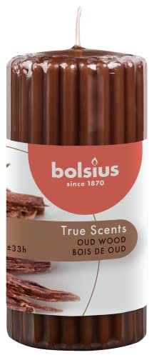 Bolsius True Scents Candela a Colonna Profumata - Fragranza Oud Wood - Colore Marrone Cioccolato - Lunga Durata di 33 Ore - Estratti Naturali - Candela Decorativa - Cera - 12 x 5.8 cm