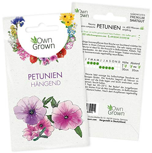 Petunie Samen: Premium Petunien Samen für ca 400 Petunien Pflanzen – Schöne Petunien Blumen Samen Balkon u. Garten Pflanzen – Blumensamen – Petunien Hängend Blumen Saatgut – Blumen für Balkon OwnGrown
