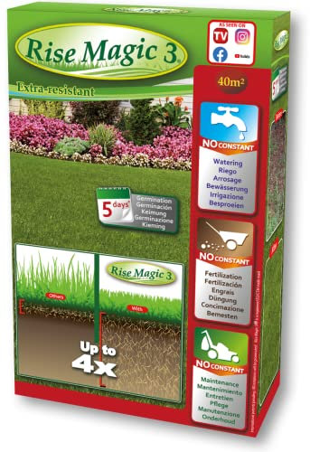 Rise Magic 3 - 1 Boite de Semences pour Gazon - Résistant au froid, aux maladies - 40 m² - Ecologique et Bio