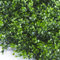 TENAX Divy Panel Buxus Intense 0,50 x 0,50 m Verde, Panel Modular con Hojas Artificiales Tipo Boj para Decoración de Pared Jardín Vertical