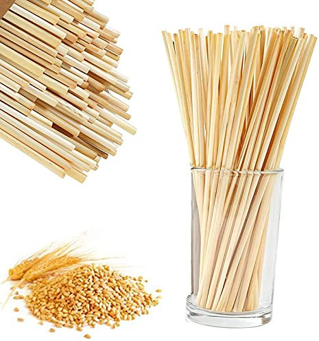 LiuliuBull Paquete de 100 Pajitas de Bebidas biodegradables ecológicas Biodegradables Bebidas de Trigo Natural Desechables Barra de Paja de cóctel Bebidas de té de Leche (Number of Pcs : 100pcs)