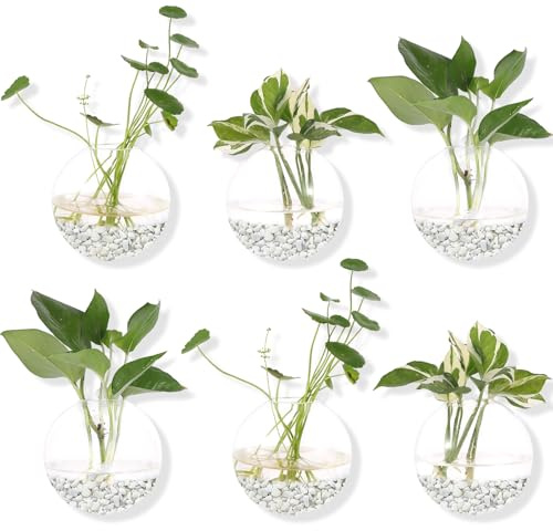 Hanging Wall Planters Pack of 6 Glass Planter Pots Round Glass Flower Vases Hanging Propagation Station Glass Plant Hanger Terrariums Wall Hanging Plant Container