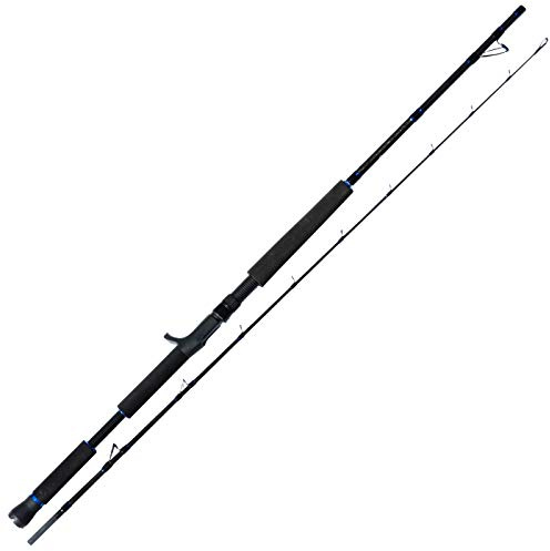 Eisele Bootsrute Thrill 2,1m 8-12lbs für Multirolle - Meeresrute, Rute zum Meeresangeln, Steckrute