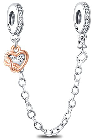 Rimgoris 925 Sterling Silber Charm für Frauen Armbänder Halskette Infinity Herz Familie Verschluss Sicherheitskette Hund Druck&Knochen Münze Familie&Freund für immer Freundschaft Heißluftballon Haus