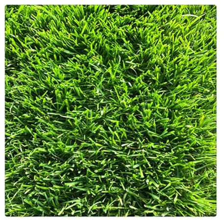 Tappeto in erba artificiale, 2 m x 8 m, tappetino sintetico di alta qualità, per uso interno/esterno, ideale per animali domestici, parco giochi, piscina, cortile, patio e balcone paesaggistica