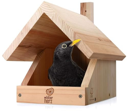 wildtier herz I Amsel Nistkasten aus verschraubtem Massiv-Holz - 25 x 28.5 x 27 cm, Wetterfest & Unbehandelt, Vogelhaus für Halbhöhlenbrüter, Halbhöhle für Amseln, Rotkehlchen & Co.
