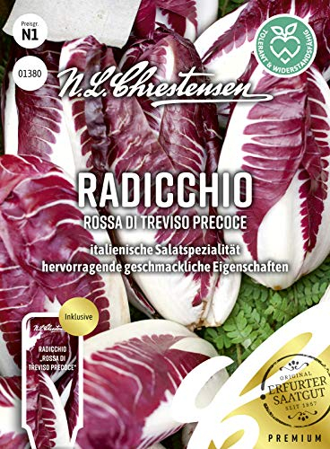 N. L. Chrestensen 01380 Radicchio Rossa di Treviso precoce (Radicchiosamen)