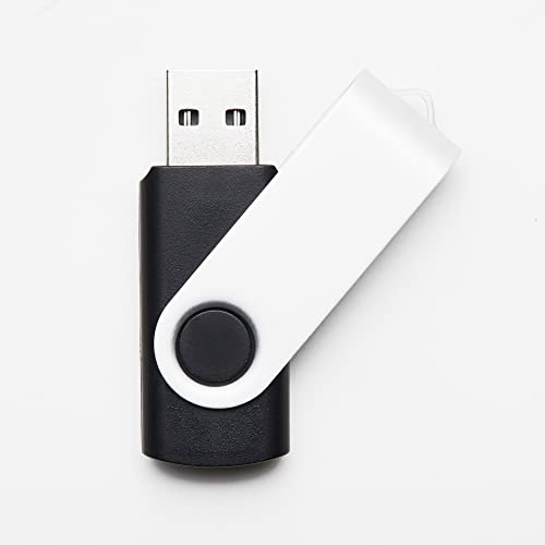 100 Stück Schwarz 4GB USB-Sticks USB 2.0 Swivel Design Flash Drive für die Datenspeicherung Großhandel Bulk (Schwarz, 4GB)