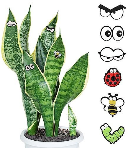 TOYMIS 6pcs Aimants pour Plantes Yeux pour Plante, Accessoires Mignons pour Plantes d'Intérieur Décor d'Aimants pour Plantes Amusants Yeux Aimants pour Plantes Jardiniers Amis Cadeau Spécial