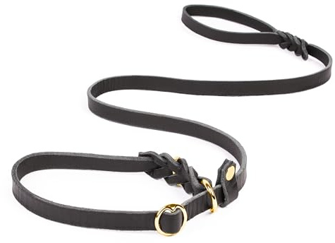 CopcoPet Retrieverleine mit Zugstopp für kleine Hunde – 1,20m x 10mm Moxonleine in Schwarz – Fettlederleine & Agilityleine aus Leder – stufenlos verstellbar, Handarbeit, Messing, wetterfest