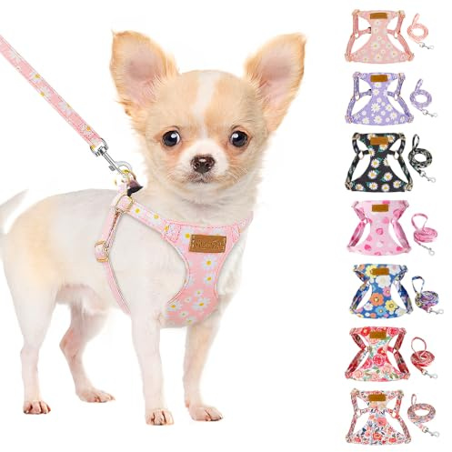SlowTon Puppy Harness and Leash Sets, Adjustable Lightweight, No Pull | Escape Proof Vest Harness, Adjustable Lightweight Harness, Outdoor Walking Running Training Small and Medium Sized Dog