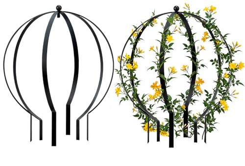 HEYTIMI 2 PCS Large Metal Trellis Obelisks Sturdy Round Circle Trellis for Climbing Plant Support Indoor Outdoor Potted Vines, Cucumbers & Flowers, Patio Doorway Garden Decor (Black, 25.20 x 21.26'')