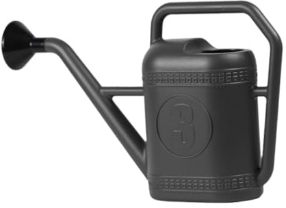 F Fityle Annaffiatoio per Giardino con Manico Portatile e irrigatore, Grigio, 3l