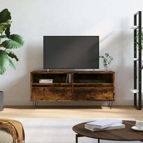 faucqel TV Cabinet Smoked Oak Wood Material 100 x 34.5 x 44.5 cm with Iron Legs, 2 Drawers, 2 Compartments, Living Room Sideboard, TV Lowboard, HiFi Cabinet, Media Cabinet, TV Table