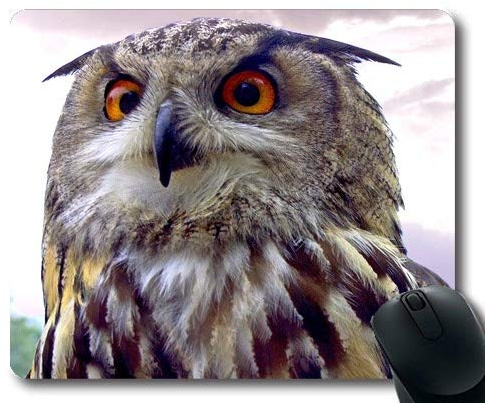 Große Spiel-Mausunterlage, englischer Purdueeulenvogel der Eule, Mausunterlage mit genähten Rändern