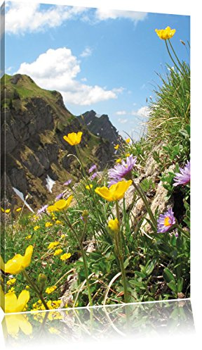 Pixxprint Blumenwiese im Frühling, Größe: 60x40cm, Leinwandbild, fertig gespannt, Wandbild, Dekoration, Kunstdruck, kein Poster