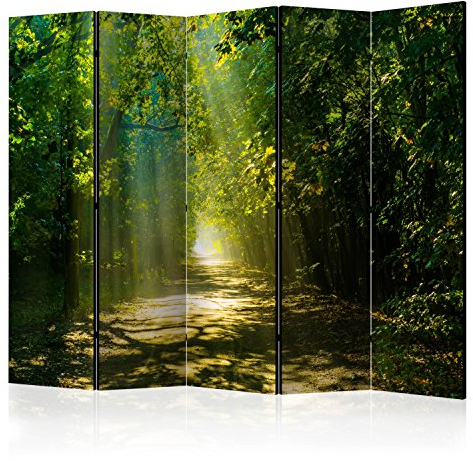 murando Raumteiler Wald Natur Foto Paravent 225x172 cm beidseitig auf Vlies-Leinwand Bedruckt Trennwand Spanische Wand Sichtschutz Raumtrenner grün c-A-0086-z-c