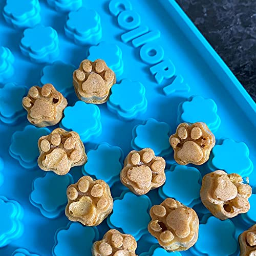 Collory Mini Pfoten (1,5 cm) Silikon Leckerli Backmatte, Hundekekse selbst backen, Schokoladenform, Bonbonform, Material antihaftend und lebensmittelecht (BPA-Frei) (Türkis)