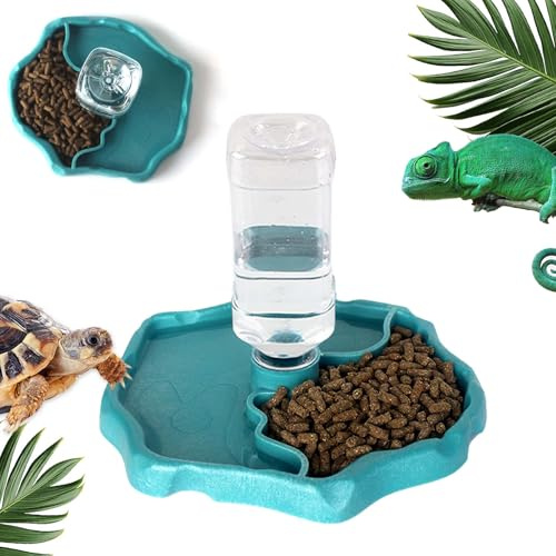 Hyran Abbeveratoio Tartarughe di Terra 2 in 1, Cibo Ciotola per Rettili e Tartarughe, Accessori per Lucertole, Criceti e Serpenti