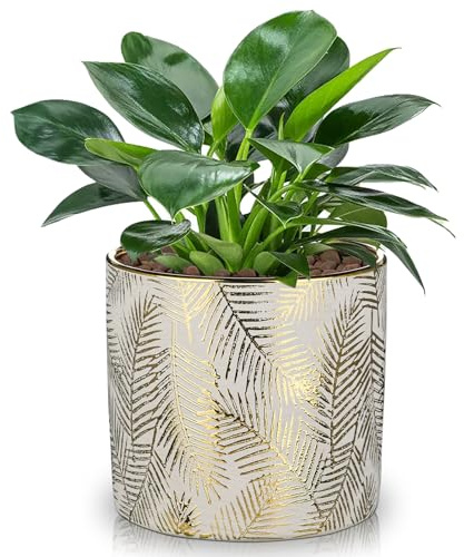 Hollyone 13.5 cm Blumentöpfe Pflanztöpfe Gold Keramik Pflanzgefäße mit Drainageloch Rund Übertöpfe Dekorative Keramiktopf für Zimmerpflanzen Sukkulenten Orchideen