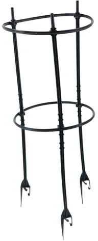 HYTROVE 1 Juego Estante para Plantas Trepadoras Soporte Resistente para Jardín y Decoración de Interiores para Enredaderas y Vegetales Diseño y Natural Incluye Varillas y Anillos