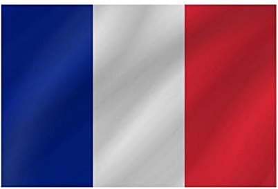 R&F srls - Bandera de Francia Nacional (Tejido, tamaño estándar, 90 x 150 cm)