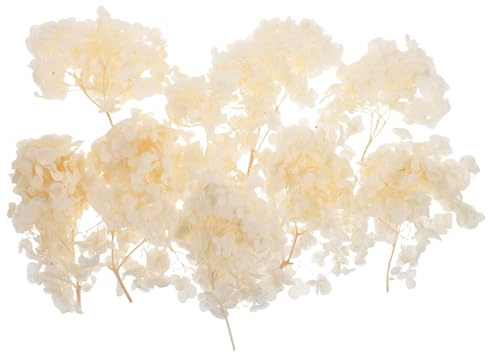 GLEAVI Petali Di Ortensia Essiccati Fiori Conservati Naturali Per Decorazioni Floreali Petali Di Fiori Secchi Per Matrimoni e Feste