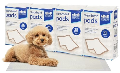 Harbour Housewares Grandes Protections d'Entraînement Jetables pour Chiots & Chiens - 60x60cm - 100x Tapis pour Chiots Absorbants, Chats, Chatons, Toilette, Tapis d'apprentissage de la Propreté