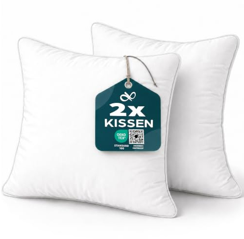 Flowen Kissen 30x30 Kopfkissen 2er Set Dekokissen für Bett und Sofa Innenkissen Hypoallergene Sofakissen Anti-Milben Weiche Zierkissen mit Kissenbezug Mikrofaser Abnehmbar und Waschmaschinenfest