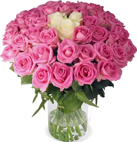 Blume Ideal Rosenstrauß Pink Special | 20 Pink-Weiße Rosen | Ø 40–50 cm | Premium Rosen von Floristen | Top Qualität | 7-Tage-Frischegarantie | Ideales Blumengeschenk