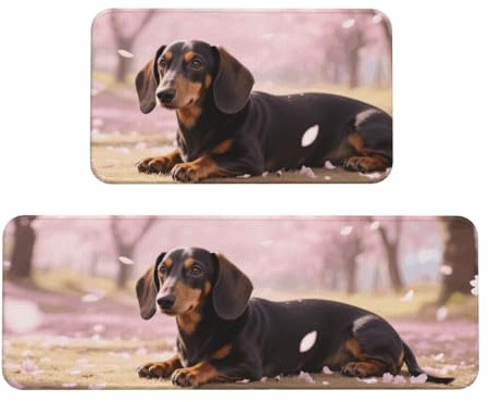 Dachshund Paw Print Kitchen Rugs Set of 2, Cushioned Anti-Fatigue Kitchen Mats for Floor, Waterproof Comfort Standing Mat Absorbent Velvet Kitchen Runner Rugs 17x30+17x47