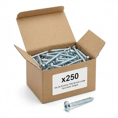 250 Vis Penture Torx acier zingués blanc 5 X 30