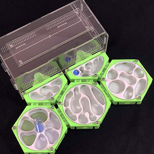 ANT GRAPE NEU 3D Print Formicarium Ameisenfarm Raumstation mit Feuchtigkeitsturm Unbegrenzte Erweiterung Ameisennest Pet Anthill Workshop (A)