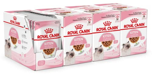 ROYAL CANIN Kitten in Gravy Wet Food 85g (Pack of 48) * Multipack *