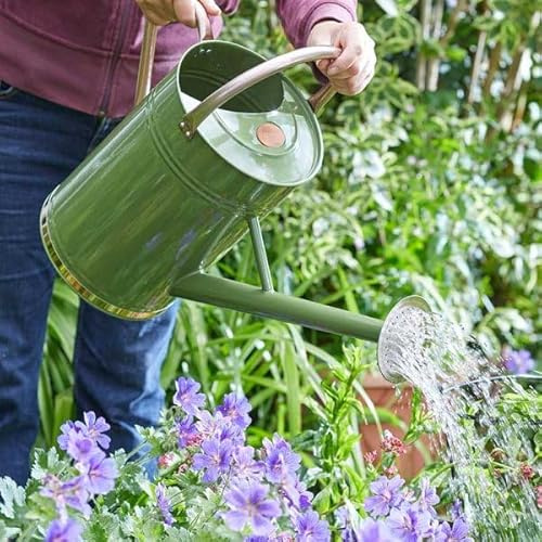 Garden Mile 9L Sage Green Metal Watering Cans For The Garden All Year Round Plant Waterer Made From Steel Rust-resistant Galvanised Watering Can Large With Handle And Detachable Rose