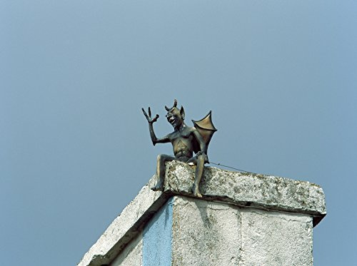 Low angle view of dragon weather vane on chimney Poster Print by Panoramic Images (36 x 24)