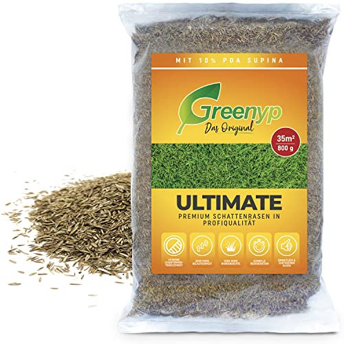 Greenyp® Ultimate I Premium RSM Schattenrasen mit 100% RSM Gräsern I 0,8kg für 35m² I Nachsaat Grassamen Rasensamen Rasensaat Gras für schattige & trockene Standorte