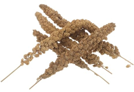 Healifty Snack Naturali per Uccelli Domestici 500g, Spuntino di Miglio in Grani per Pappagalli, Calopsitte e Parrocchetti, Dolcetti per Addestramento e Arricchimento Alimentare in Gabbia