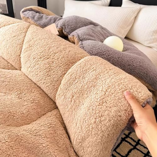 Dicke Flauschige Plüschdecke, Superfeine Faserbettdecke Samtsteppdecke, Wendedecke Für Alle Jahreszeiten, Atmungsaktive Schlafdecke (E 180x220cm(3.5kg))